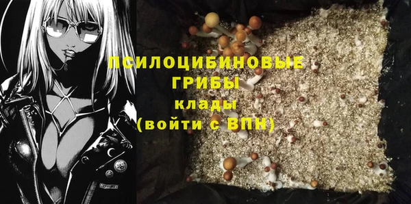 тгк Бородино