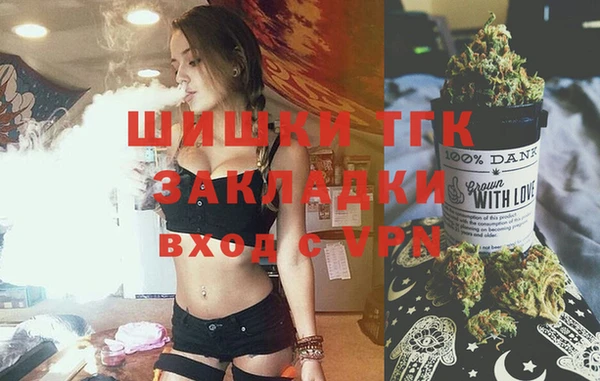 тгк Бородино