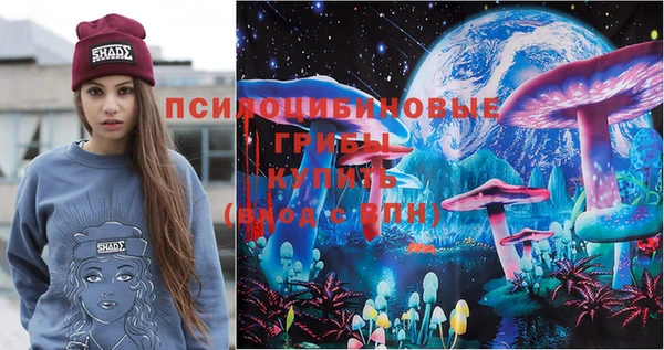 амф Пестово