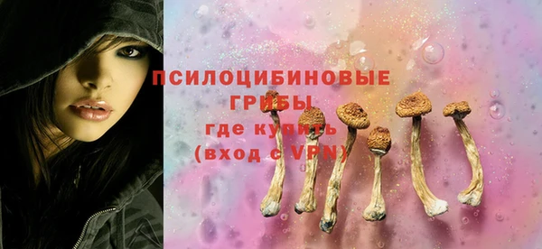 амф Пестово